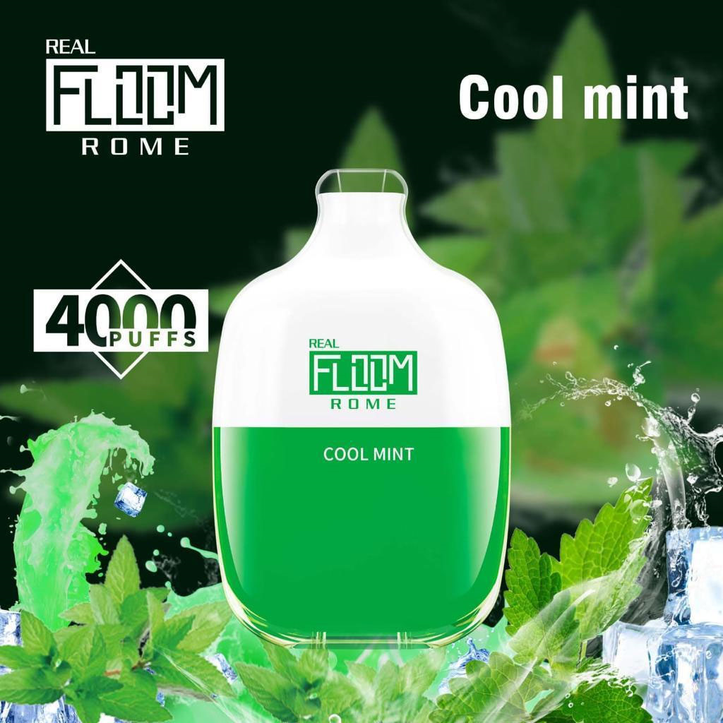 Floom Rome Disposable | 4000 Puffs | 10mL Cool mint